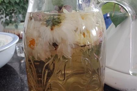 菊花茶的功效与作用